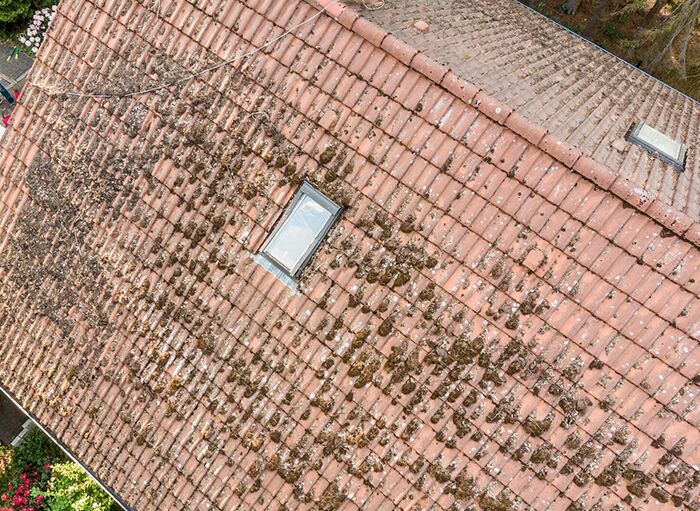roof specialists (optimised) roof specialist