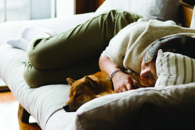 pexels-meruyert-gonullu-6589005 homecare